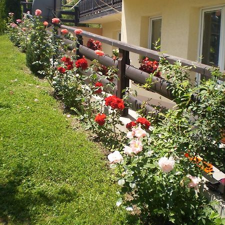Apartments Vila Velickovic Златибор Экстерьер фото