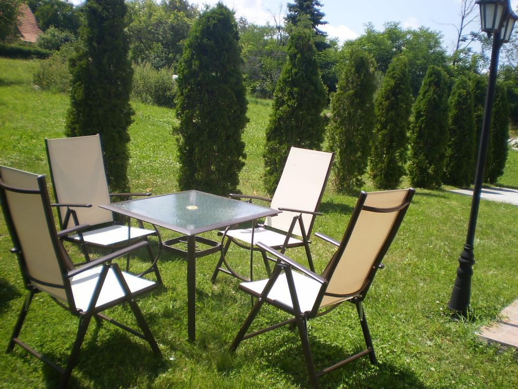 Apartments Vila Velickovic Златибор Экстерьер фото