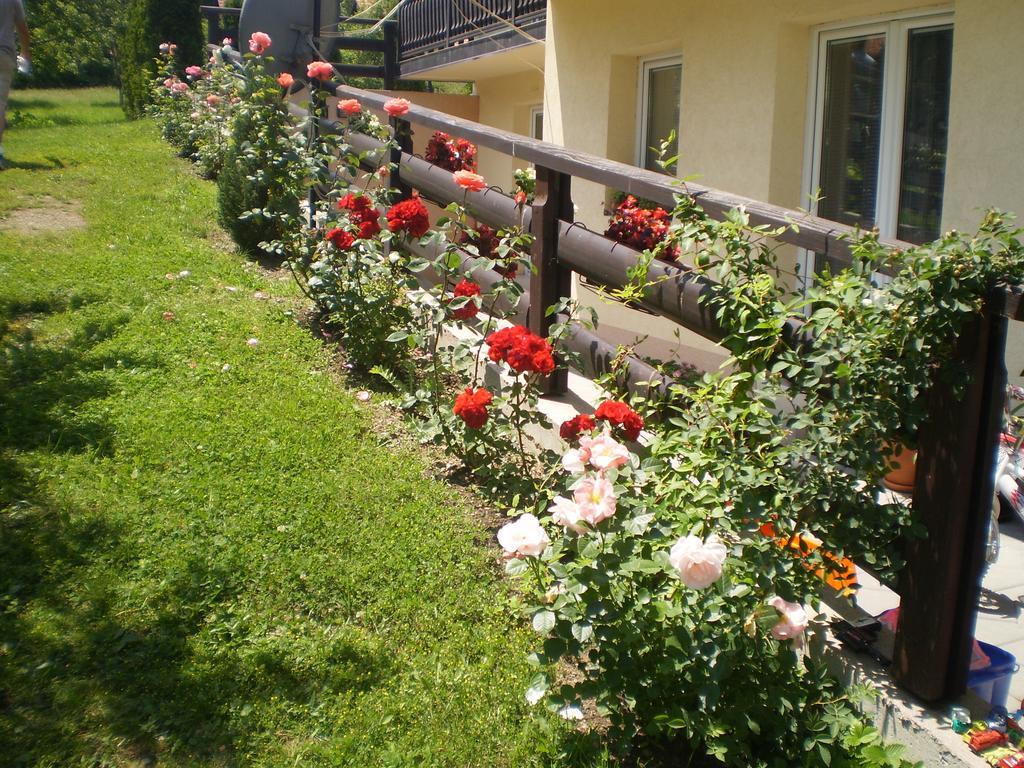 Apartments Vila Velickovic Златибор Экстерьер фото