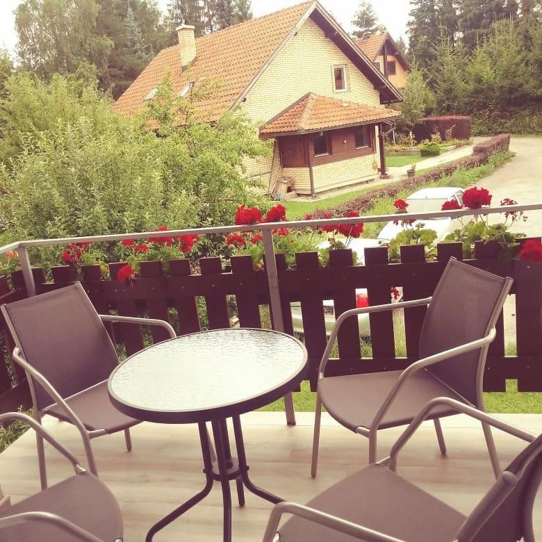 Apartments Vila Velickovic Златибор Экстерьер фото