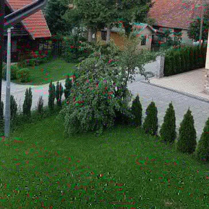 Apartments Vila Velickovic Златибор Экстерьер фото