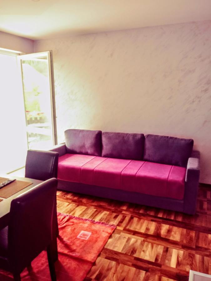 Apartments Vila Velickovic Златибор Экстерьер фото